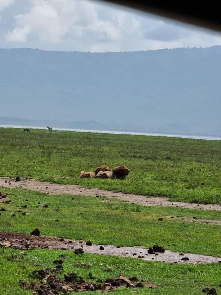 FurahaYao safari gallery photo 9
