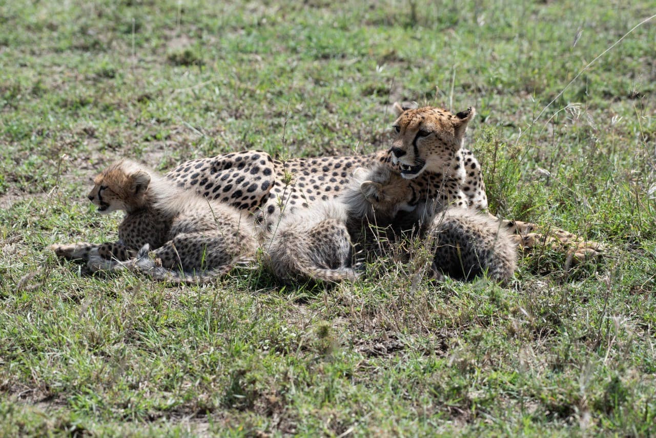 FurahaYao safari gallery photo 22