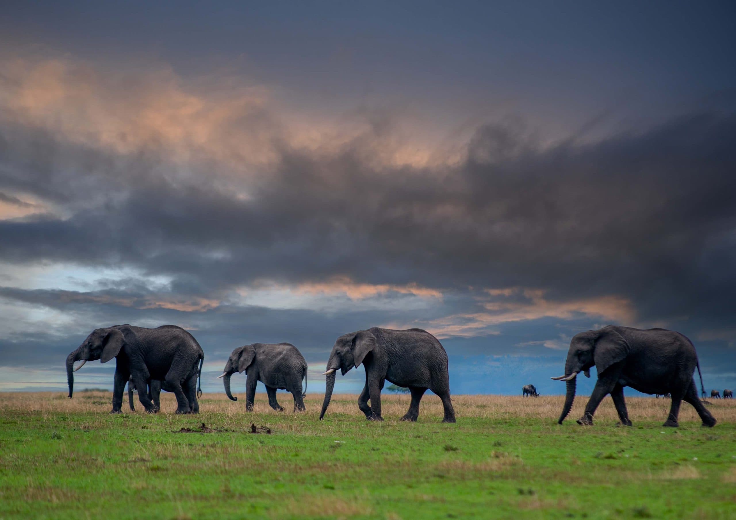 2-Day Budget Tarangire & Ngorongoro
