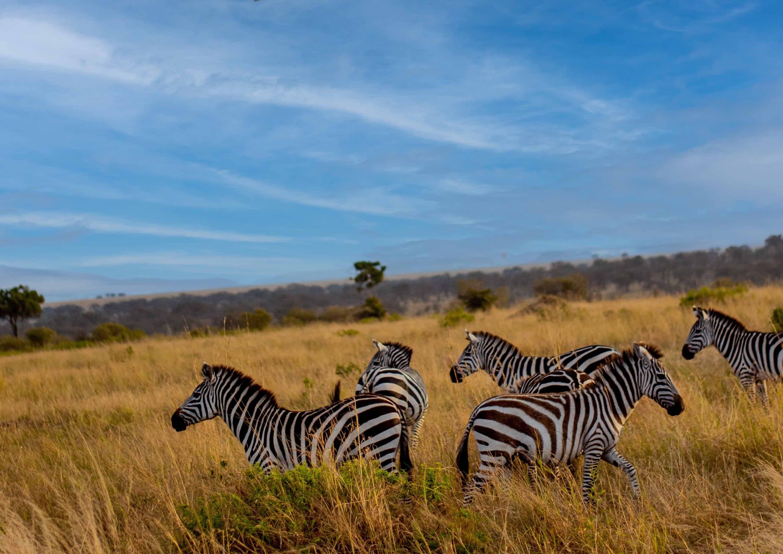 4-Day Safari & Lake Eyasi Culture