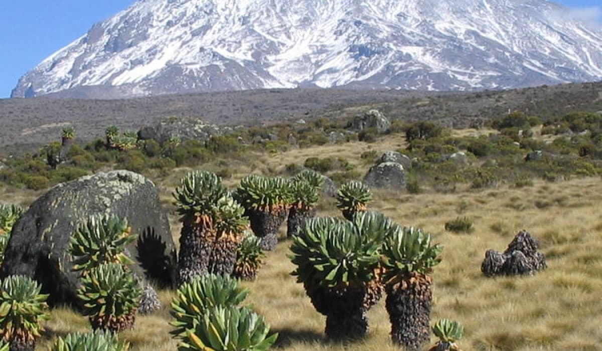 6 Days Machame Route