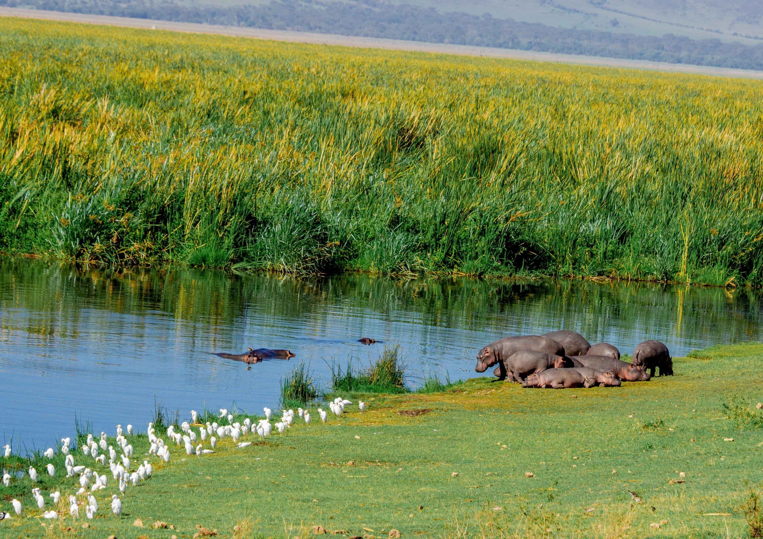 6-Day Tanzania Lodge Safari