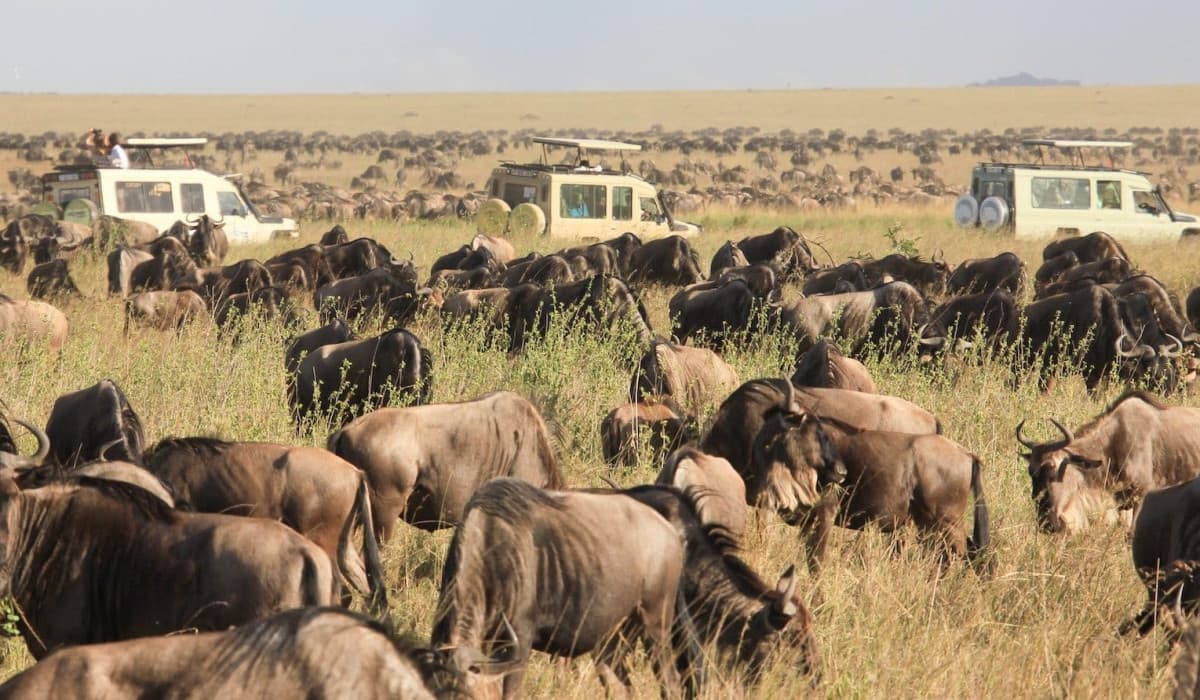 Serengeti National Park